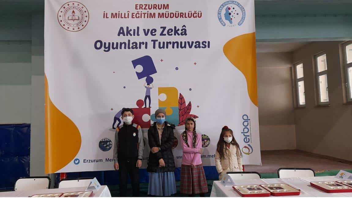 Erzurum İl Milli Eğitim Müdürlüğü Akıl ve Zeka Oyunları Turnuvası